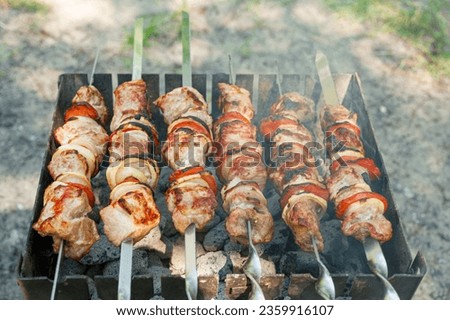 Cooking barbecue with vegetables on skewers. Roasted meat on the grill close-up