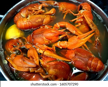 Cooking Crayfish In Boiling Water With Spices.