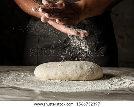 Similar – Image, Stock Photo Preparing Handmade Pizza in a Pizzeria Kitchen