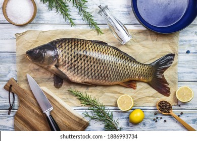Cooking fish. Fresh carp and ingredients on white table. Preparing healthy eating. Flat lay