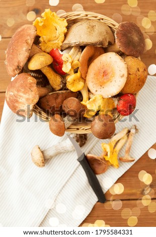 Similar – Image, Stock Photo Mushrooms in basket Food