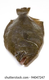 Cooking Ingredient Series    Olive Flounder. Available For Clipping Work