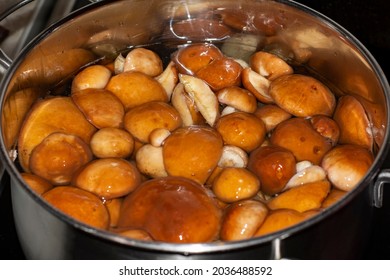 Cooking Mushrooms Of The Suillaceae Family