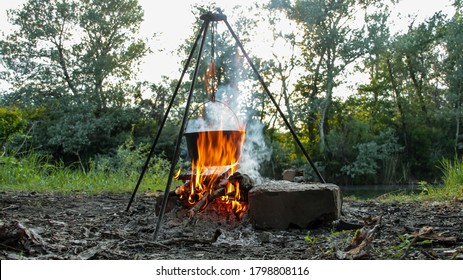 Cooking On Campfire Nature Campaign 260nw 1798808116 