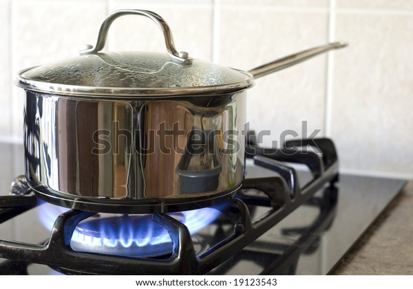 Cooking On Gas Stove Stock Photo 19123543 | Shutterstock