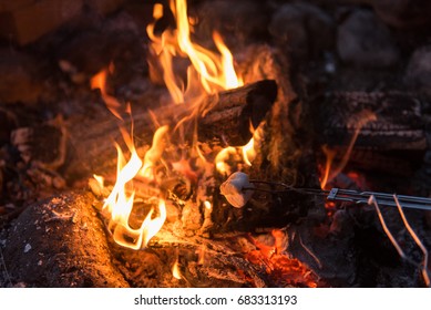 Cooking Smores In Burning Wood Camp Fire