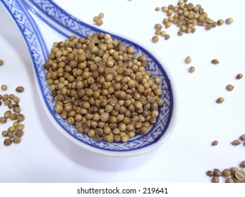 Cooking Spice - Coriander Seeds