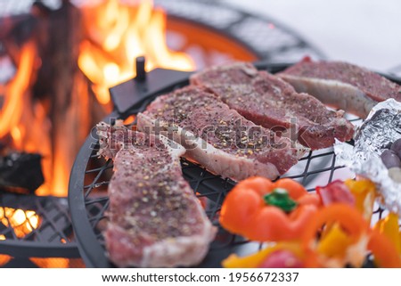 Cooking steak and food on a firepit outside in the snow in the woods of Fairbanks Alaska