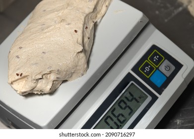 Cooking. Weighing Dough For Making Artisan Bread. A Piece Of Dough On A Kitchen Scale