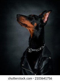 Cool Biker Dog On A Black Background