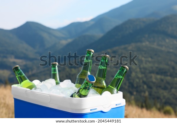 Cool box with bottles of beer in mountains. Space\
for text