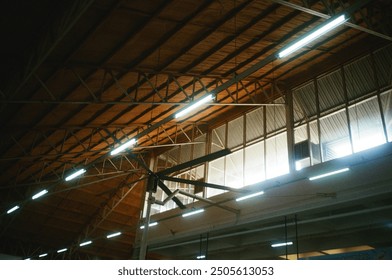 Cool ceiling  with lights and windows