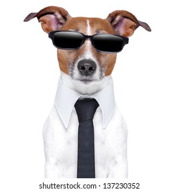 Cool Dog With Black Glasses And A Tie