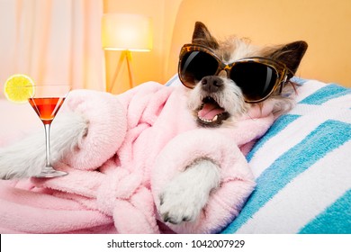 Relax Funny Images Stock Photos Vectors Shutterstock