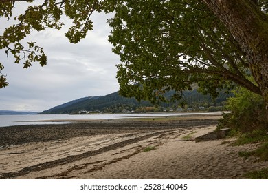 A cool, grey September afternoon and a view from a deserted Ardentinny Beach at low tide, south across Finart Bay to Ardentinny. Argyll and Bute, Scotland. - Powered by Shutterstock