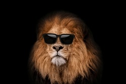 Cool Handsome Hipster Lion In Fashion Sunglasses On A Black Background. Leader, Creative Idea