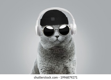 Cool hipster cat with fashionable hat and vintage round sunglasses listens to music in white wireless headphones on gray background. Creative idea concept. Animal style 