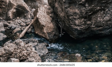 Cool mountain stream flowing between stones, a moment of peace and quiet reflec