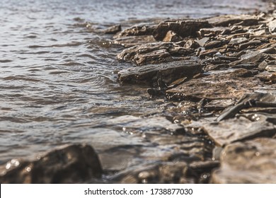 
Cool River Water Edge On A Rocky Shore