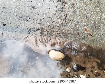 Cool Rock Slide In Gutter