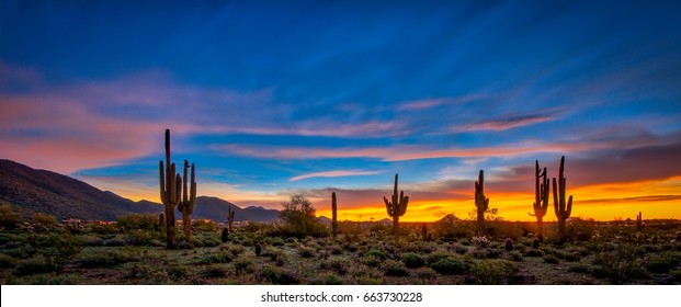 Cool Sunrise IV - A pre dawn image of a Sonoran desert yields cool blue tones.  A panoramic landscape orientation.  The image includes beautiful jewel tones. 