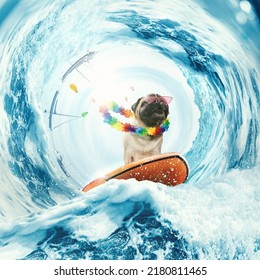 Cool surf rider. Collage with happy cute pug dog surfing on huge wave in ocean or sea on summer vacation with pink sunglasses and hawaii flower chain. Concept of hobbies, animal, adventures