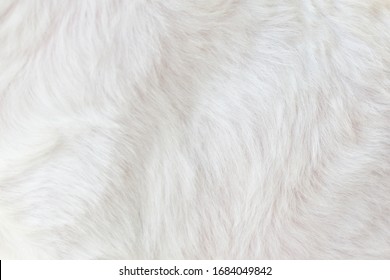 Cool white background, abstract pattern, close-up