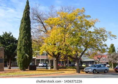 Coolamon, NSW/Australia-June 17th 2017:  street view in the town centre of a small country town. Coolamon is in the wheat belt of New South Wales and is a leading state producer of wheat and chaff. 