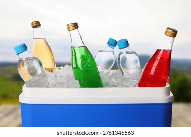 Caja de enfriador con diferentes bebidas y hielo al aire libre