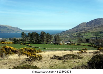 Cooley Peninsula.Ireland.View Of TheCarlingford Bay.