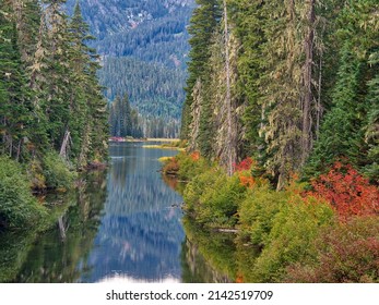 Cooper River In The Central Washington Cascade Mountains.