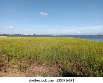 Cooper River And Wetland Seen From The Waterfront Park In Charleston