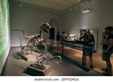 Copenhagen, Denmark. Circa December 2021. Family Visiting The Interior Of Science Museum With Dinosaur Fossils