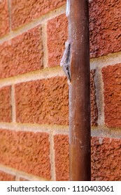 Copper Mains Water Pipe Burst Open By Frozen Ice