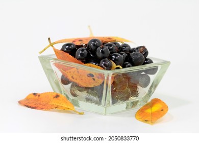 Copper Rock Pears On A Plate