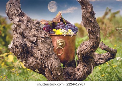 A Copper Vessel Full Of Grapes