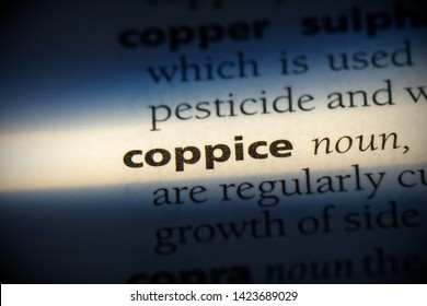 coppice definition
