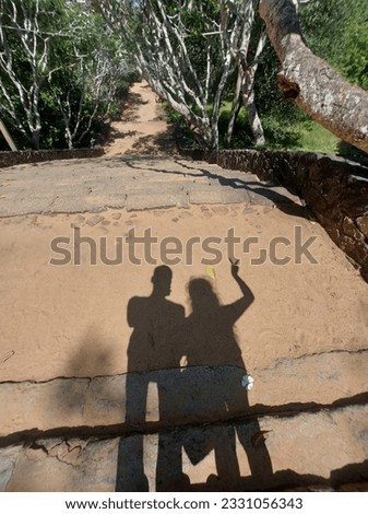 Copple shadow in temple stone foot path 