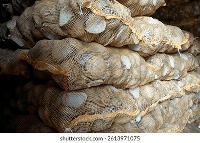 copra comes from old coconuts that have gone through the drying process.                                