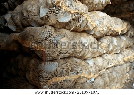 copra comes from old coconuts that have gone through the drying process.                                