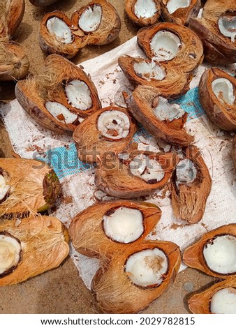 Copra is the dried meat or kernel of the coconut, which is the fruit of the coconut palm. Coconut oil is extracted from copra, making it an important agricultural commodity for many coconut-producing