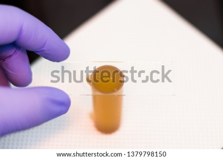 coproparazitological examination by flotation method at the veterinary clinic