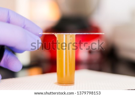 coproparazitological examination by flotation method at the veterinary clinic
