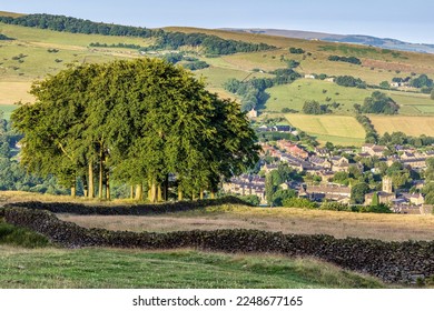 Copse of trees known as ‘Twenty Trees’ ,  a well known landmark near Hayfield in High Peak, Derbyshire, where you can pause and take in the beautiful views above and around Hayfield.  - Shutterstock ID 2248677165