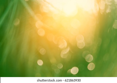 Copy Space Of Blur Palm Leaf Tree On Blue Sky And White Clouds With Bokeh Sun Ligth Abstract Texture Background. Ecology And Environment Concept. Vintage Tone Filter Effect Color Style.