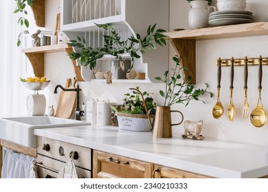 copy space countertop, wooden cupboards, clean plates on shelf, utensils hanging on wall and green plants in pitcher. cozy kitchen in apartment with scandinavian interior
