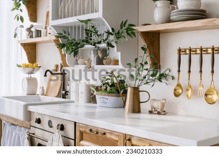 copy space countertop, wooden cupboards, clean plates on shelf, utensils hanging on wall and green plants in pitcher. cozy kitchen in apartment with scandinavian interior