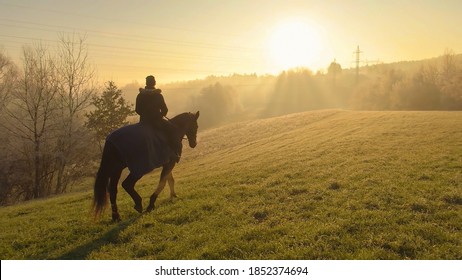 COPY SPACE Female Horseback Rider Is Exploring The Frosty Countryside With Her Mare. Cinematic Shot Of An Active Young Woman Taking Her Stunning Stallion For A Ride On A Sunny But Misty Winter Morning