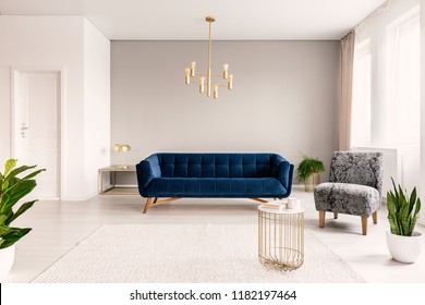 Copy Space Living Room Interior With A Dark Blue Couch, A Gray Armchair And Gold Accents. Real Photo.