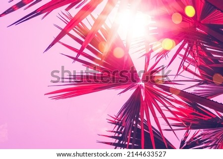 Copy space pink tropical palm leaves tree on blue sky with colorful bokeh sun light abstract background. Summer vacation and nature travel adventure concept. Vintage tone filter effect color style.
